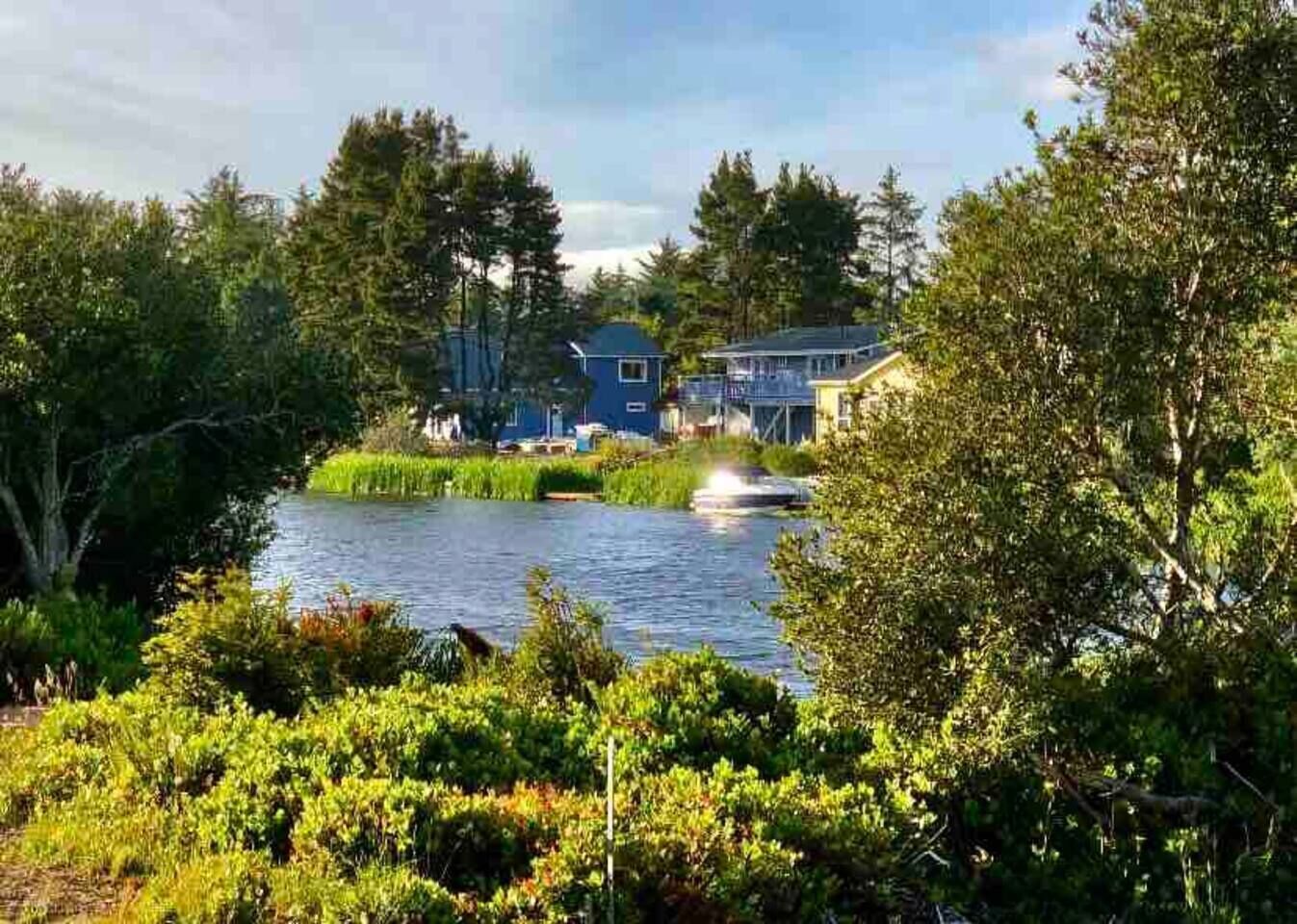 A house with a pond in front, surrounded by trees and greenery.
