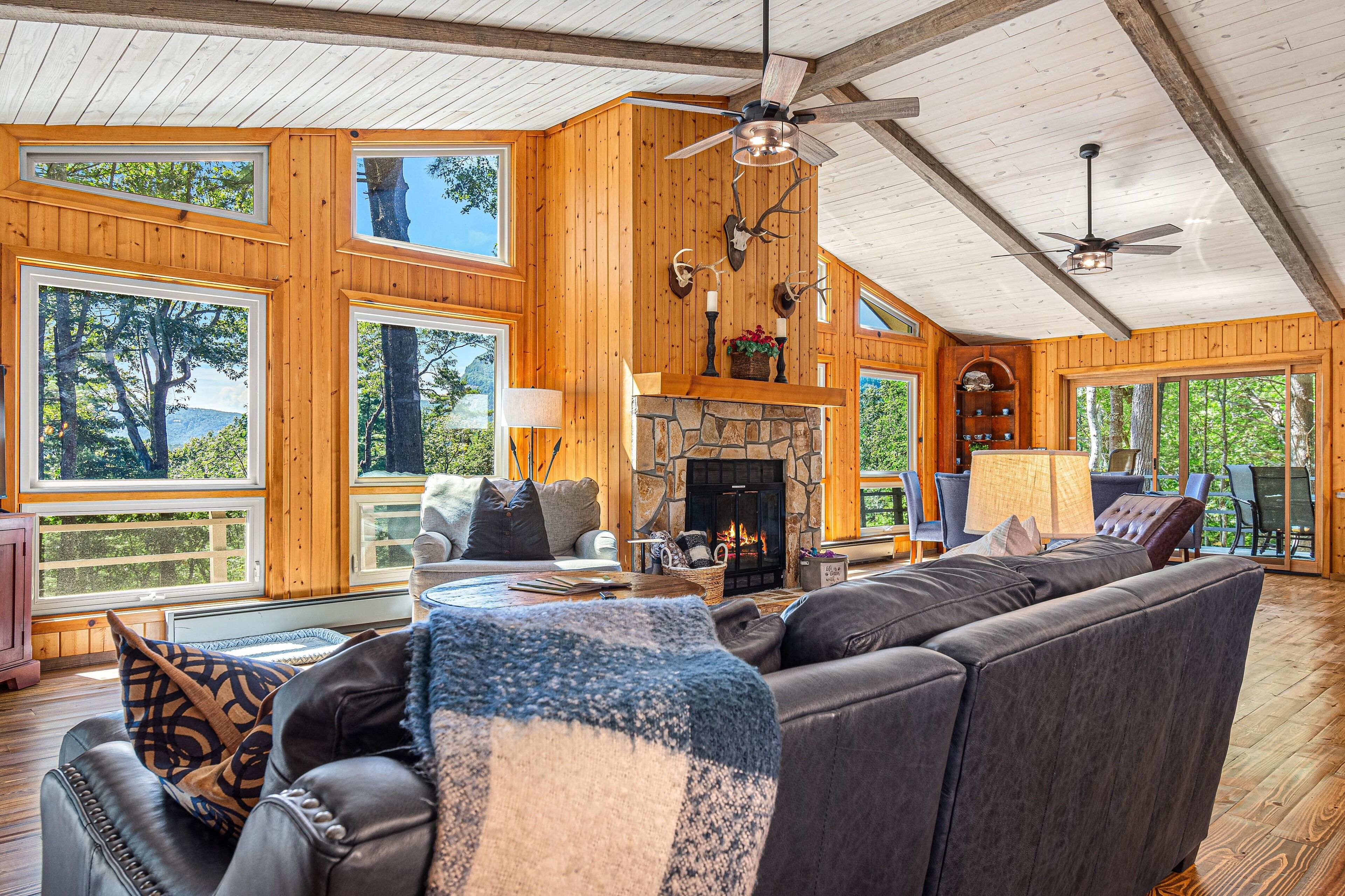 Smart TV, fireplace, books