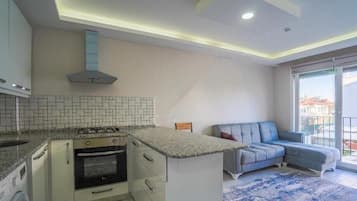 Fridge, oven, stovetop, rice cooker
