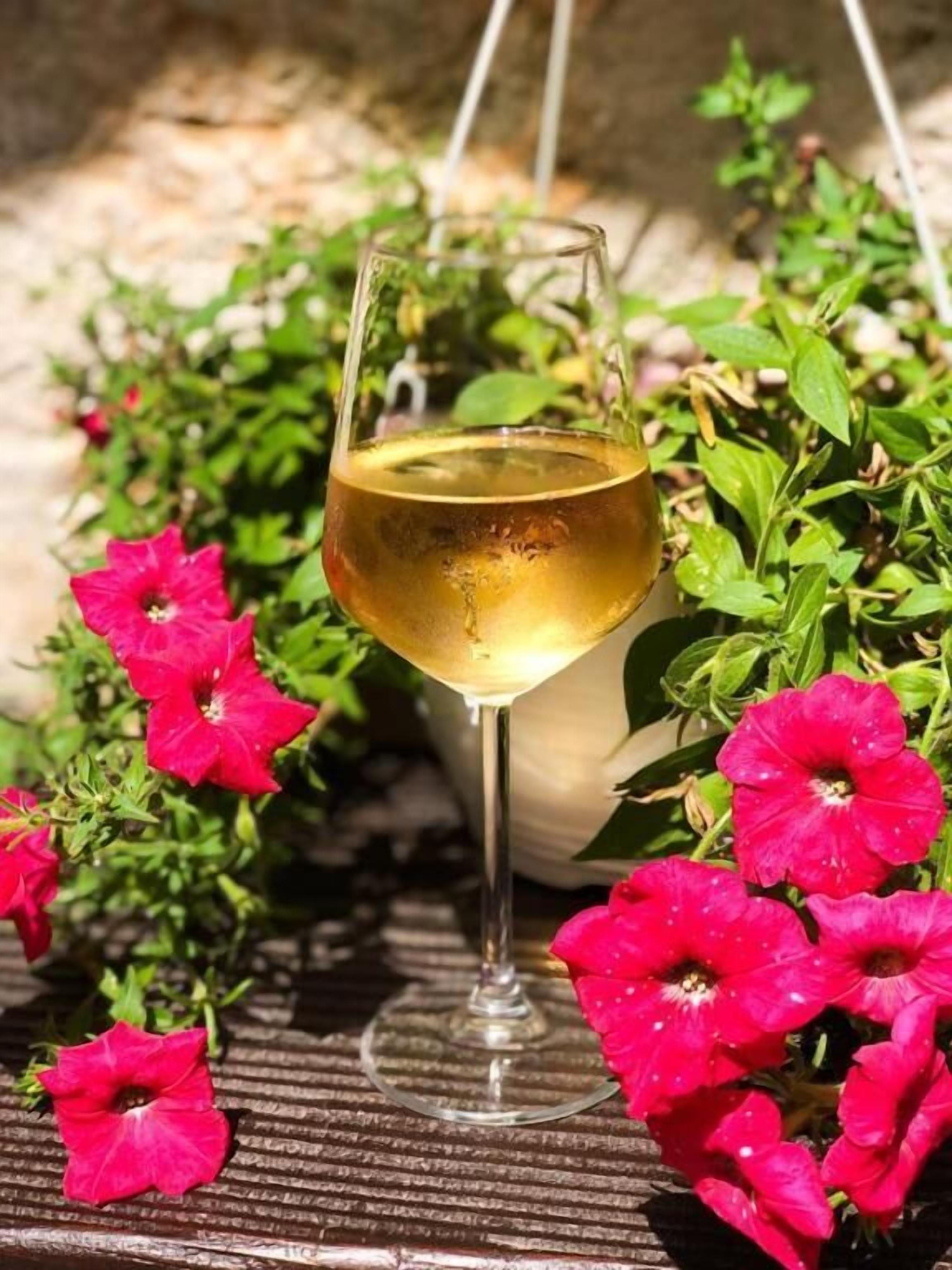 A glass of white wine on a metal table surrounded by vibrant pink flowers.