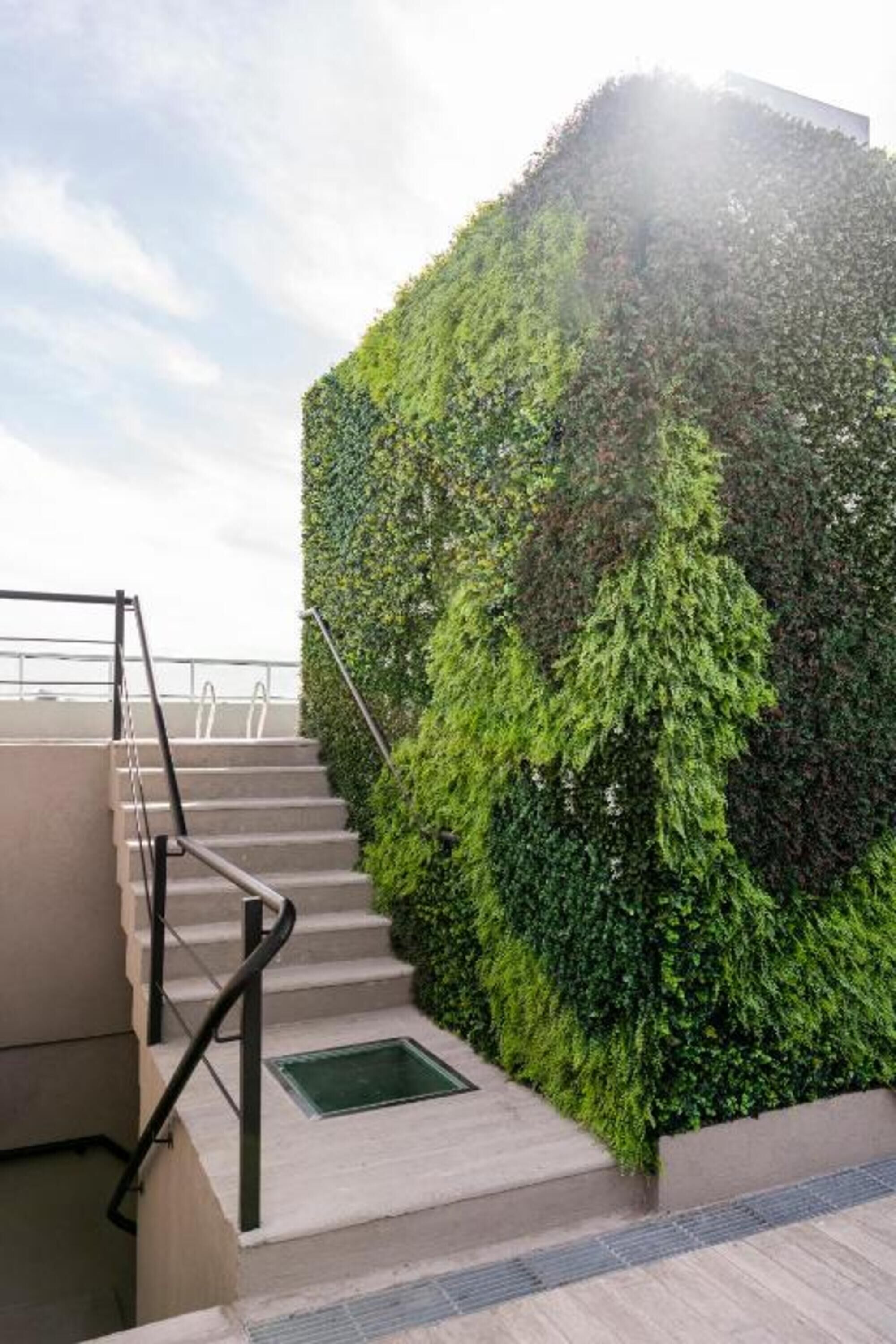 A staircase with a green vertical garden wall beside it.