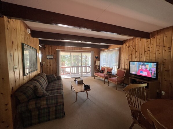 Smart TV, fireplace, video games, DVD player