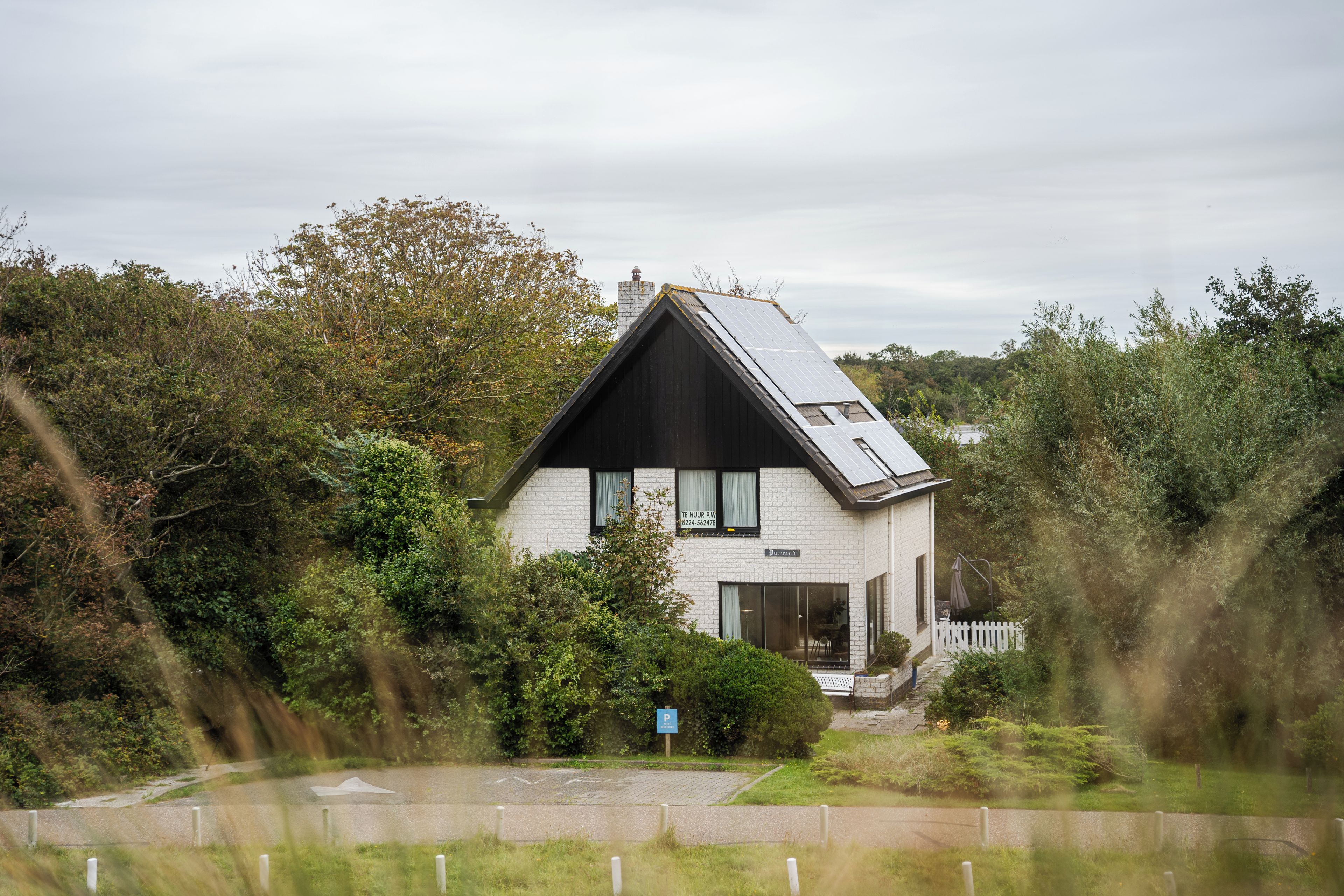A modern house with a sloped roof, surrounded by dense greenery.