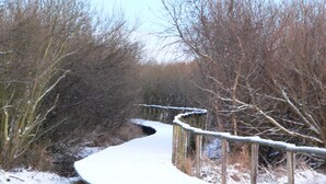 Un sentier enneigé, bordé d’une clôture en bois d’un côté et d’arbres sans feuilles de l’autre.