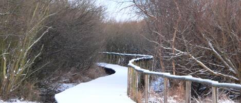 A snow-covered pathway with a wooden fence on one side and leafless trees on the other.