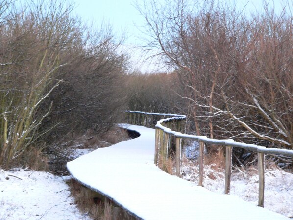 A snow-covered pathway with a wooden fence on one side and leafless trees on the other.