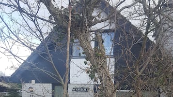 Exteriör