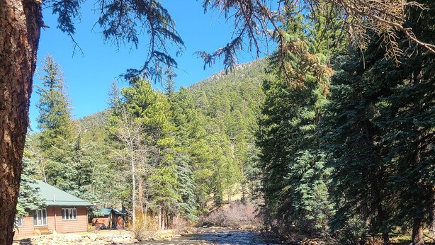 A clear stream with rocks, surrounded by dense forest and a cabin with a green roof. - Original RMNP Riverfront Cabin on the Thompson River (Estes Park)