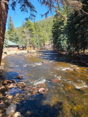 Un arroyo cristalino con rocas, rodeado de un bosque denso y una cabaña con techo verde.