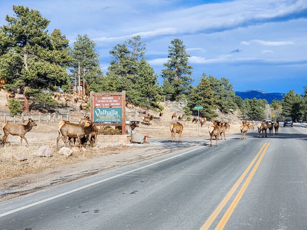 Una carretera con un cartel que indica Valhalla Resort, a medio kilómetro de distancia.