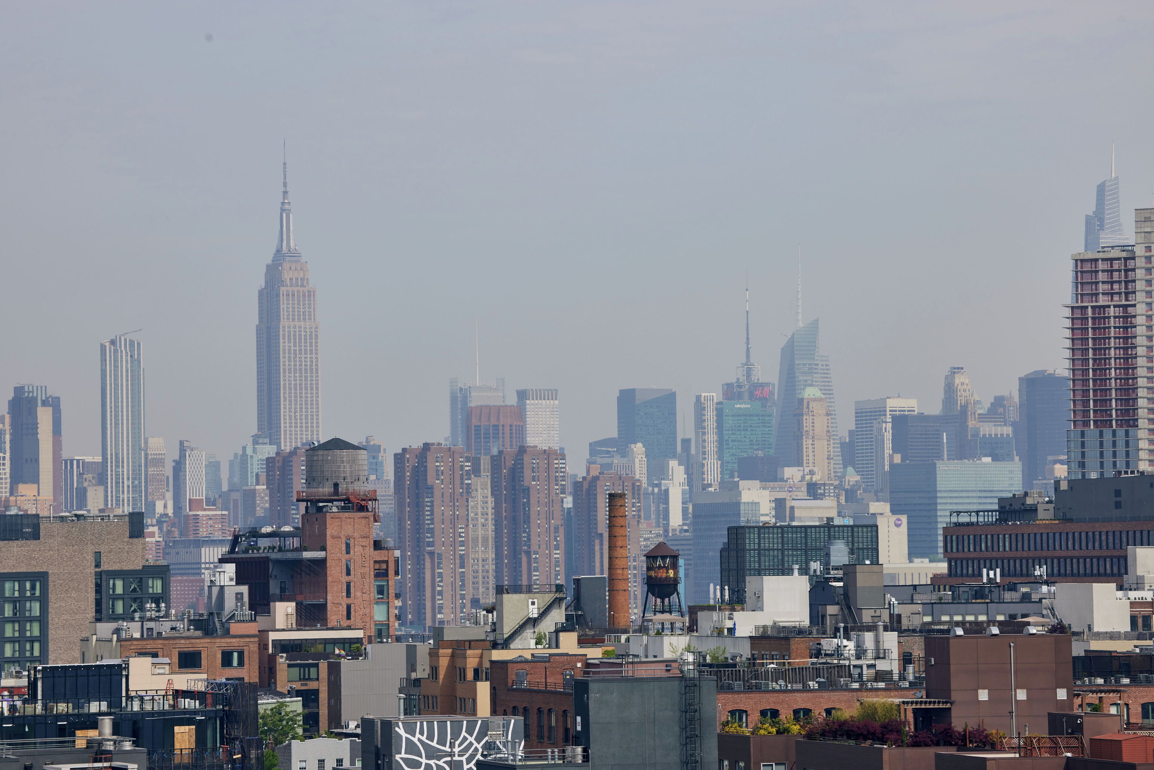 Photo - Penny Williamsburg