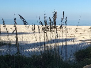 A beach with tall grasses in the foreground and a sandy beach extending to the water.