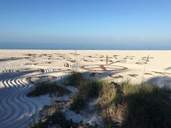 In Strandnähe, Liegestühle, Strandtücher