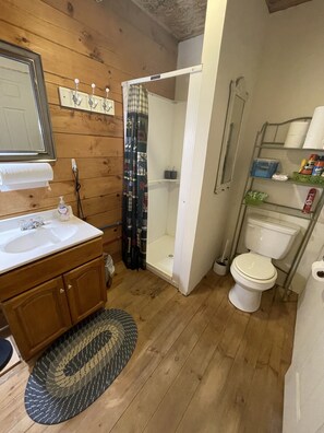 Shower, hair dryer, soap, shampoo