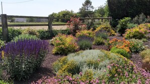 Un jardin agrémenté de diverses plantes à fleurs et entouré d’une clôture en bois.