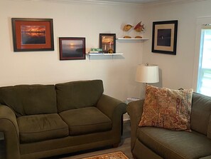 TV, DVD player, video library