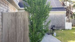 A backyard with a wooden fence, a small tree, a grill, and a grassy area.