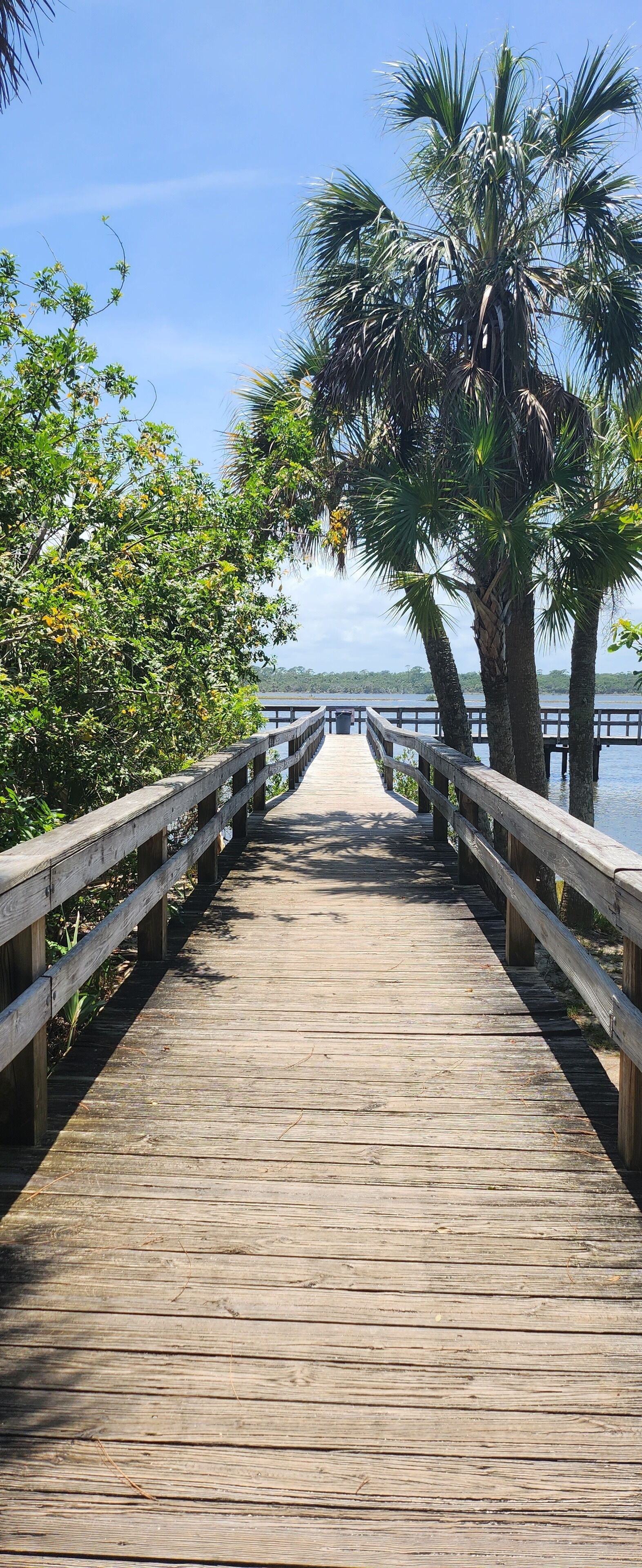 Un muelle de madera que se adentra en el agua, bordeado de exuberante vegetación y palmeras.