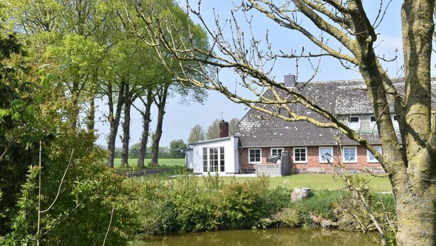 A house with a pond in front, surrounded by trees and greenery.