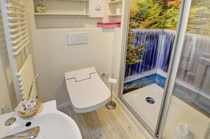 Shower, hair dryer, towels