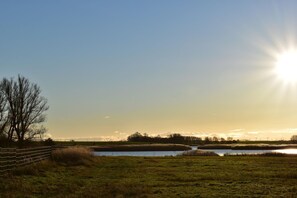 Uklassifisert bilde, 5 av 11, knapp
