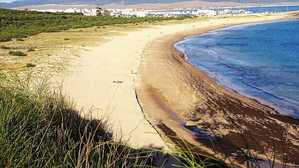 A coastal landscape with a sandy beach, grassy dunes, and a distant town.