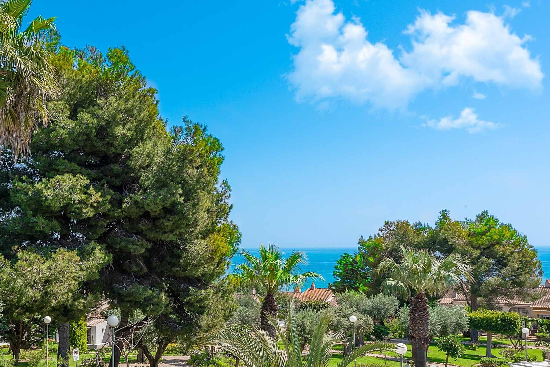 A coastal landscape with dense greenery and a clear view of the sea.