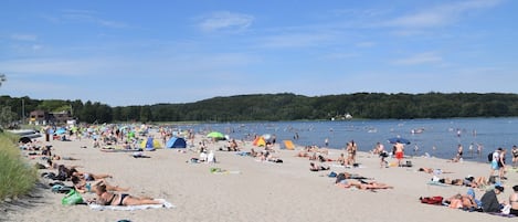 Playa