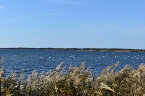 Imagen sin descripción, 3 de 32, botón