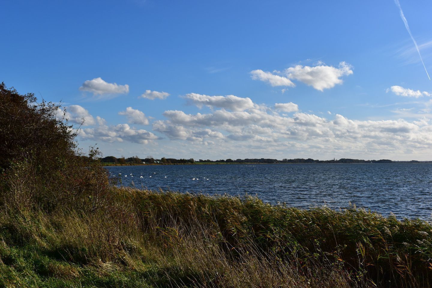 Un lac paisible, avec un ciel dégagé et quelques nuages épars.