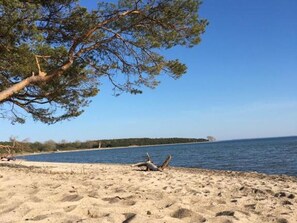 Een strand met een boom, heldere lucht en rustig water.