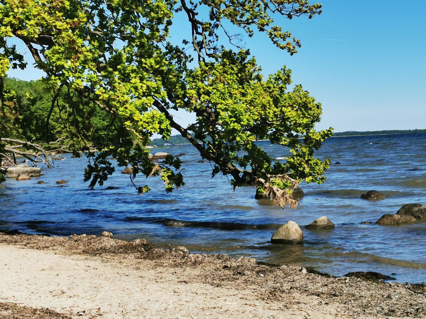 Una playa con agua cristalina, rocas y árboles.
