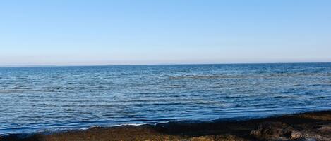 Vlak bij het strand