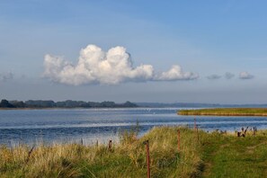 Imagen sin descripción, 4 de 20, botón