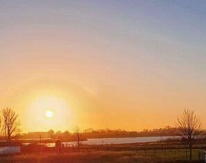 Immagine non classificata, 3 di 44, pulsante