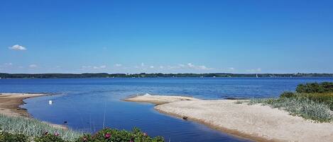 بالقرب من الشاطئ