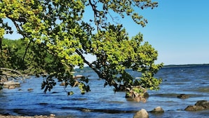 A beach with clear water, rocks, and trees. - Vacation apartment "Don't forget mine" - Holiday apartment "Don't forget mine" - (Putbus)