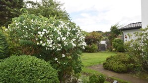 A garden with a variety of plants and a pathway leading to a covered area. - fewo1846 - Pauline - fewo1846 - Pauline in Glücksburg / enchanting (Glücksburg (Ostsee))