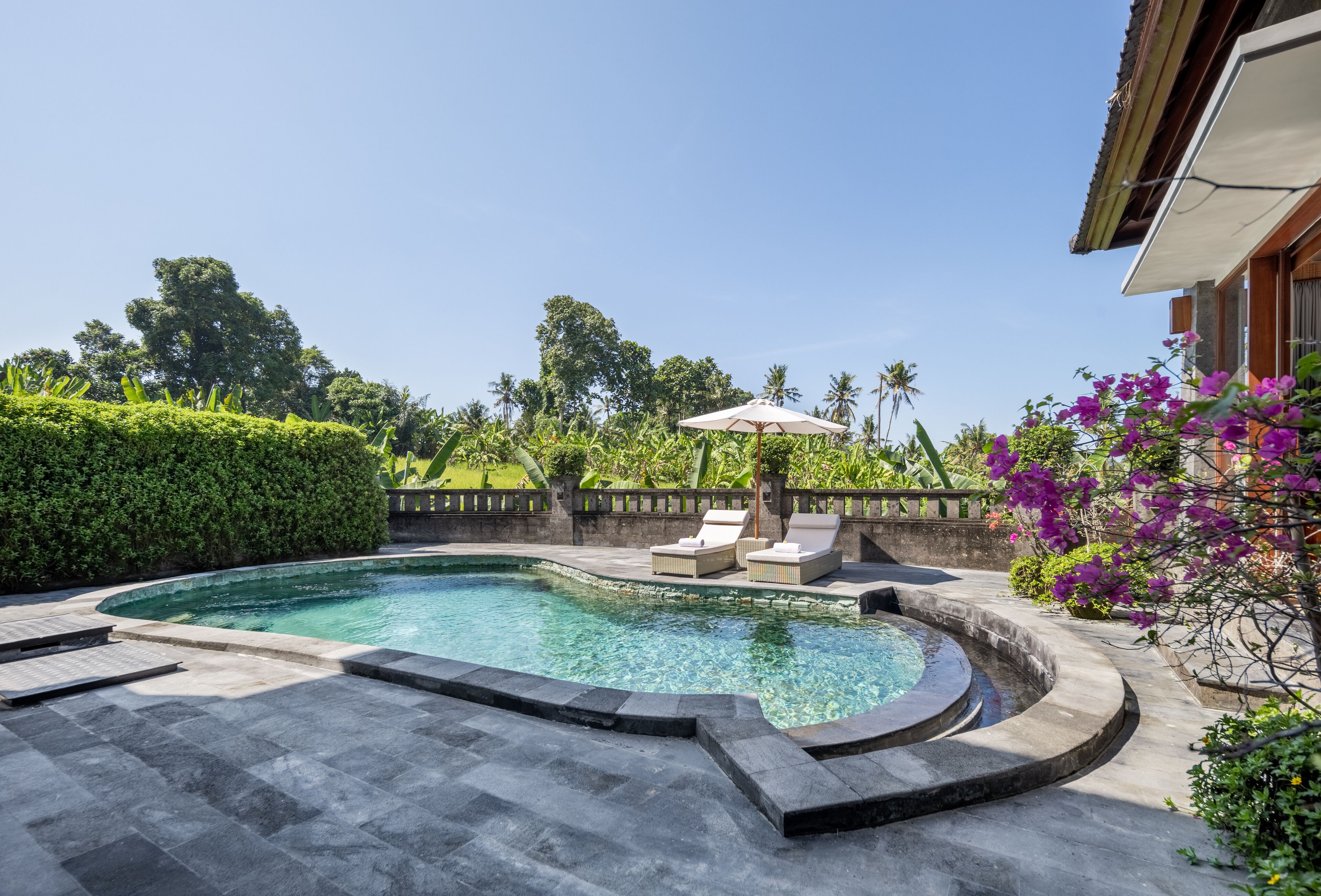 A swimming pool with lounge chairs and an umbrella, surrounded by greenery and a stone deck.