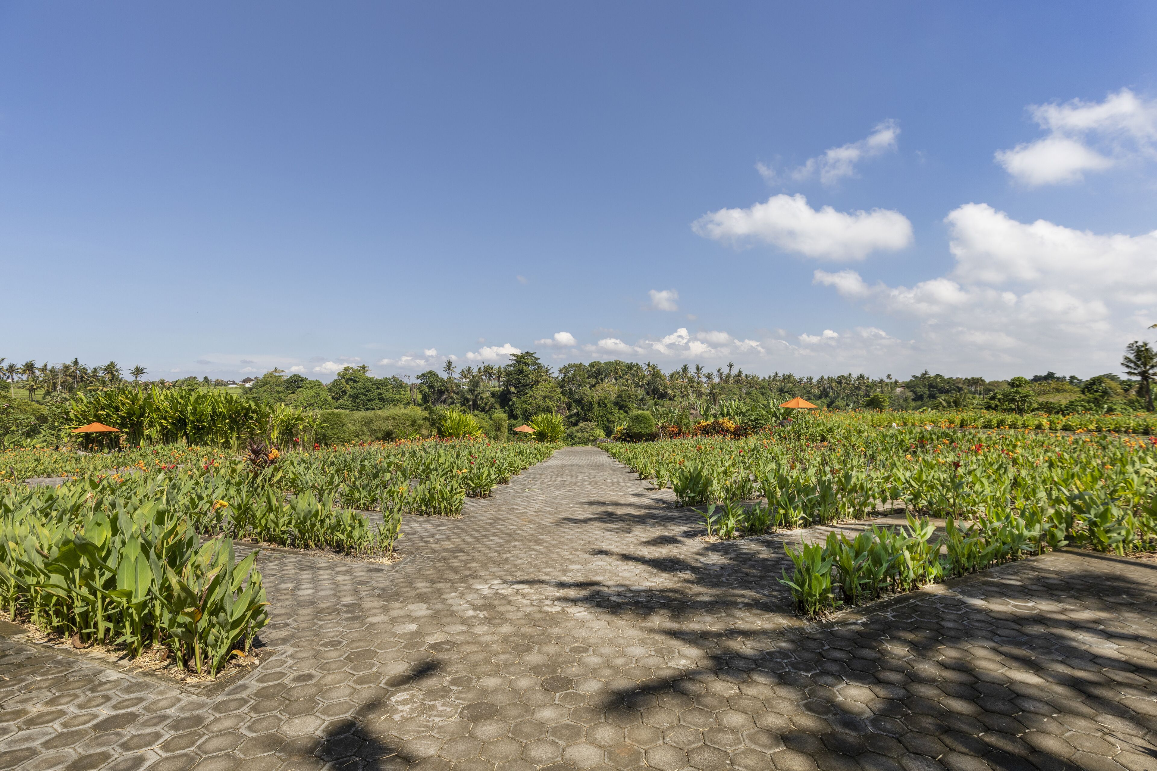 Foto - Swan Paradise A Pramana Experience