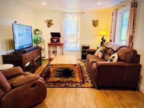 TV connectée, cheminée, jeux vidéo, lecteur de DVD