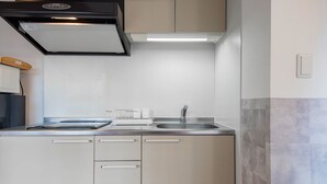 A compact kitchen with a stove, sink, and cabinets. - CLASSE TROIS (Sapporo)