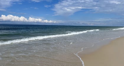 Little Ray on Sunshine