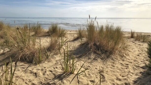 Ein Sandstrand mit vereinzelter Vegetation und einem ruhigen Meer unter einem bewölkten Himmel.