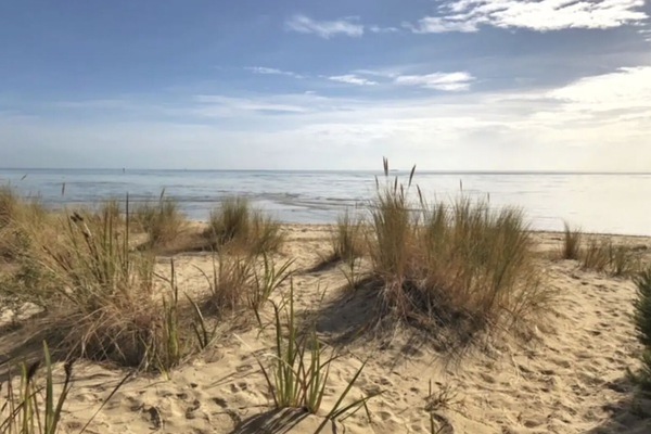 Plage à proximité, serviettes de plage