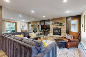 TV, fireplace, books