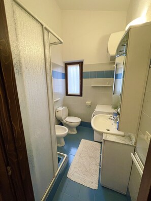 Suihkun ja ammeen yhdistelmä, hiustenkuivaaja, pyyhkeet