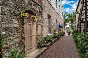 Stroll through a charming historic district lined with lush greenery and traditional architecture.