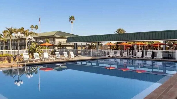 Ein Swimmingpool mit Liegestühlen und Sonnenschirmen, umgeben von einem Gebäude mit Gründach und Palmen.