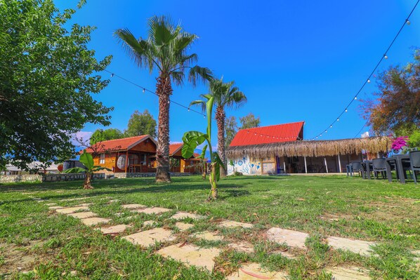 A courtyard with palm trees, a thatched-roof building, and a red-roofed structure. - Demre Sahildeki Ev Bungalov (Demre)